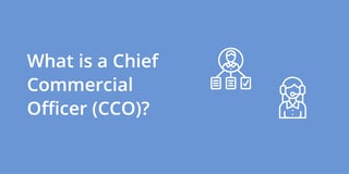 Picture of chief commercial officer