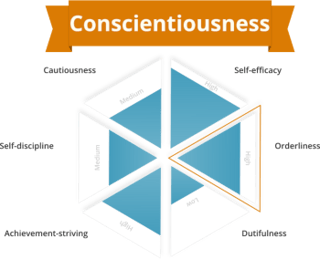 Picture of Conscientiousness