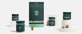 Picture of Grassroots