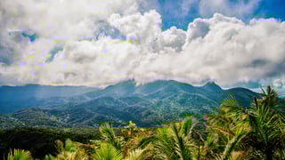 Picture of El Yunque National Forest