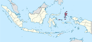 Picture of North Maluku