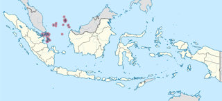 Picture of Riau Islands