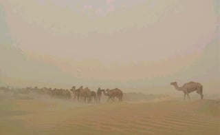 Picture of Nimruz