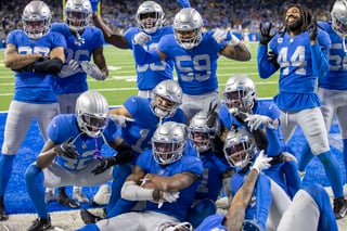 Picture of Detroit Lions