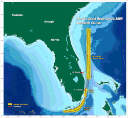 Picture of Straits of Florida