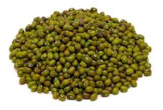 Picture of Mung bean
