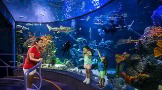 Picture of Moody Gardens