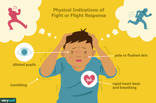 Picture of Fight-or-flight response