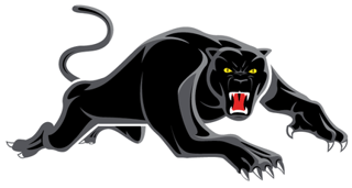 Picture of Penrith Panthers