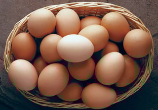 Picture of Egg