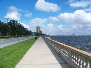 Picture of Bayshore Boulevard
