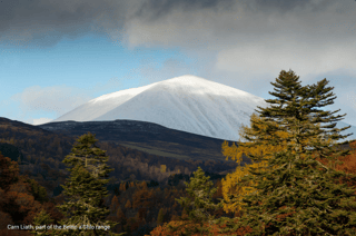 Picture of Cairngorms