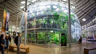 Picture of California Academy of Sciences