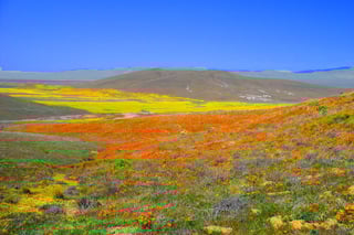 Picture of Antelope Valley
