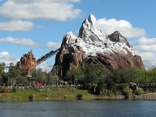 Picture of Disney's Animal Kingdom