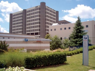 Picture of Georgia State University