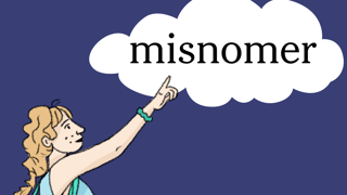 Picture of Misnomer