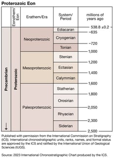 Picture of Ediacaran