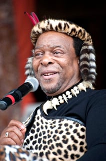 Picture of Goodwill Zwelithini