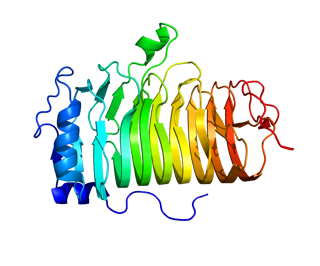 Picture of CD20