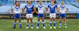 Picture of Canterbury-Bankstown Bulldogs