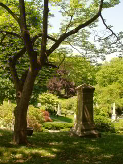 Picture of Mount Auburn Cemetery