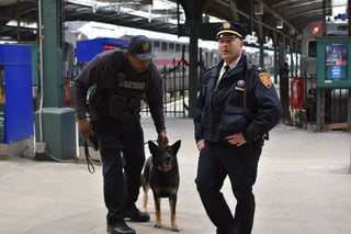 Picture of Transit police