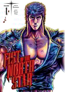 Picture of Fist of the North Star