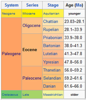 Picture of Eocene
