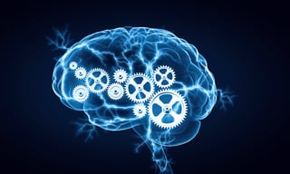 Picture of Intelligence