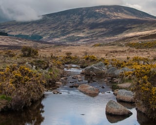 Picture of Wicklow Mountains