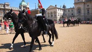 Picture of Horse Guards Parade
