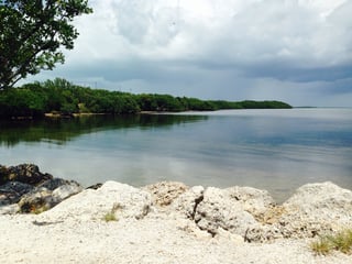 Picture of Key Largo