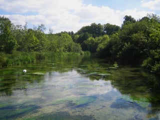 Picture of River Itchen