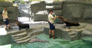 Picture of Zookeeper