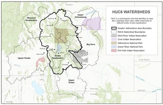 Picture of Greater Yellowstone Ecosystem