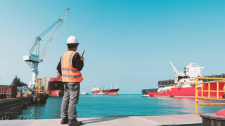 Picture of Stevedore