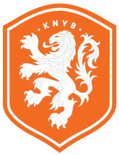 Picture of Netherlands national football team