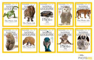 Picture of Endangered species