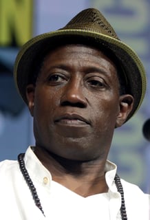 Picture of Wesley Snipes