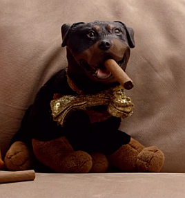 Picture of Triumph the Insult Comic Dog