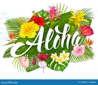 Picture of Aloha