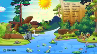 Picture of Ecosystem