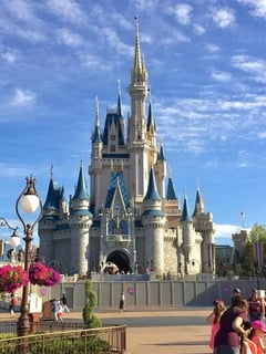 Picture of Magic Kingdom