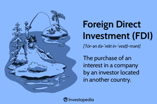 Picture of Foreign direct investment