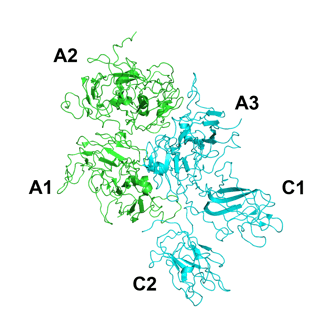 Picture of Factor VIII