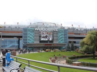 Picture of Woodbine Racetrack