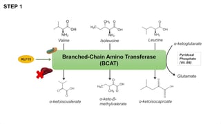 Picture of Branched-chain amino acid