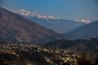 Picture of Doda