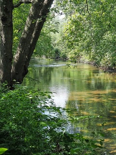 Picture of Bronx River